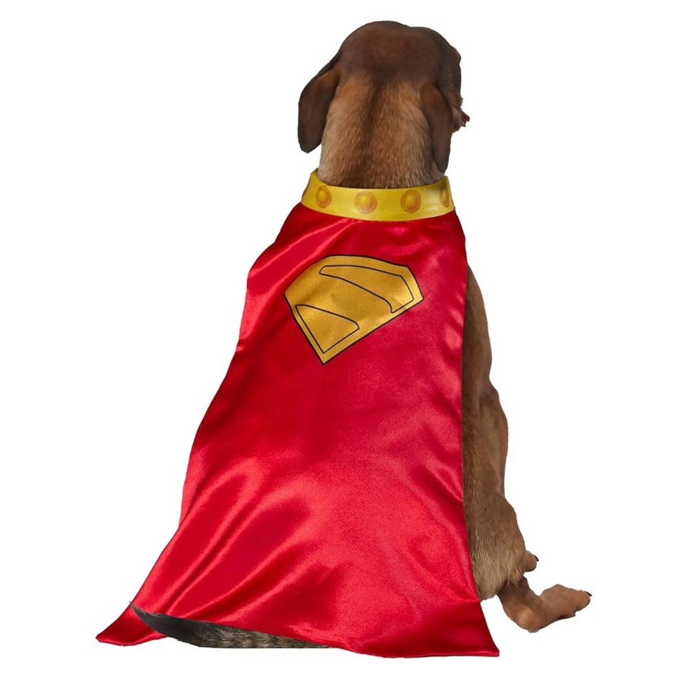 Superhero- Krypto  Dog Costume - Picture 2 of 7